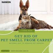 [Nanion] Sanitize Pro Pet Care (7 Days Formula) 500ml Sprayer